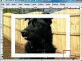 Quick GIMP Tips 03 ~ 3D pop out effect Quick GIMP Tips 03 ~ 3D pop out effect