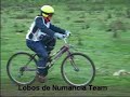 lobos de numancia team: musher sara rodriguez martinez