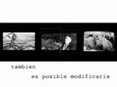 Camilla Fieschi : Transrealhamlet... The Trailer