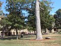 sewannee getaway 1