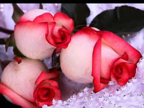 Top 20 Bollywood Romantic Songs - Full Version