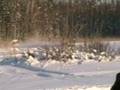 Skoteråkning i Gävle