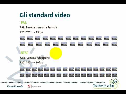 Standard video PAL e NTSC: differenze e utilizzo