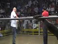 9kak RAMBULAN Derby-ENTRY#2-2nd fight
