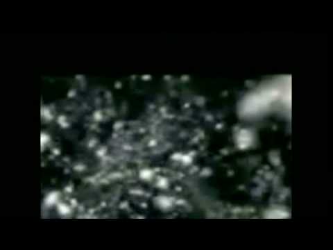 space invaders space invaders