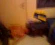 videos de atyxima commando