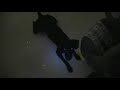 Bad Doggy Bladder Control Problem Bad Doggy Bladder Control Problem