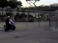 impennata vespa impennata vespa