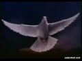 Risale-i Nurdan Damlalar - Allahin Isimleri (Bolum B)