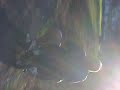 dirt biking