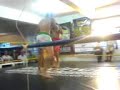 LUTA PRO MUAY TAY LUCIANO CONTINI X SANDRÃO LUTA PRO MUAY TAY LUCIANO CONTINI X SANDRÃO