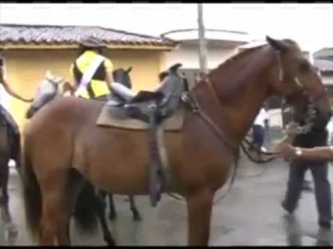 Caída de reina en cabalgata de la fiesta de la gelatina 0 Caída de reina en cabalgata de la fiesta de la gelatina