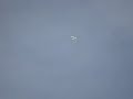 Gham 17 de Maio de 2008 - Paraglider...