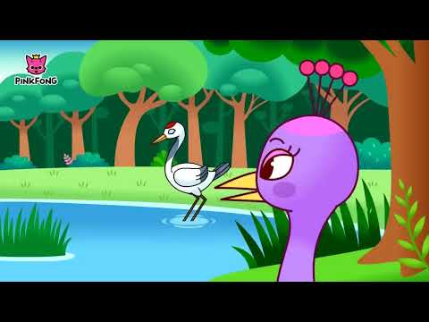 The Peacock and the Crane | Aesop's Fables | Pinkfong Story Time for Children