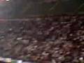 LA CURVA NORD