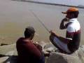 videos de Fishing - Kuala Besut, Terengganu