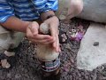 Noah and Frozen Coke
