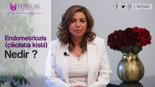 Seval Taşdemir-33