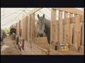 J.C Cutters Carriage Company Featured on NBC 5 Chicago Unstable Situation
