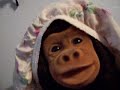 monkey yooooo
