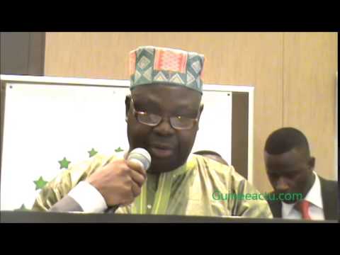 Mamadou Bobo Diallo président du conseil des sages 