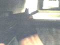 videos de CS 1.6