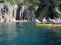 kayaking with Mr Seal
