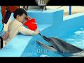 Hualien Farglory Ocean Park ???????? Hualien Farglory Ocean Park ????????