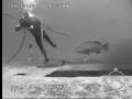Bill Vs. Grouper Bill Vs. Grouper