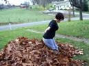 Doty in the leaves