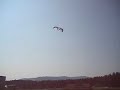 Dog against Kite - Lenkdrachen Kite fun