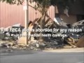Exposing the ELCA's Teachings