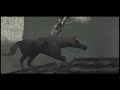 This is a tribute to Ico and Shadow of the Colossus that I threw together. It is essentially a thank-you letter to Team Ico, and it is meant to stir up fond memories of both games and the emotional impact that they have had on so many fans. Again, please watch in high quality. In either quality, however, the 