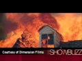 The-Showbuzz-New-Moo