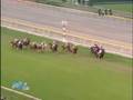 videos de 2008 京王杯２歳ステークス KEIO HAI NISAI STAKES