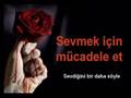 Felaket Mc