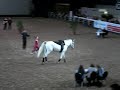 Sandra Altmann Kür Hippologica