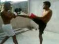 videos de leonardo