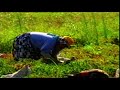 Cekirdekli K�y� Tarla Isleri