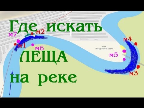 Перспективные места для ловли / Полезные советы / Место клева — все о рыбалке Перспективные места для ловли / Полезные советы / Место клева — все о рыбалке