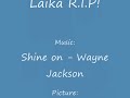 Laika R.I.P Musicvideo