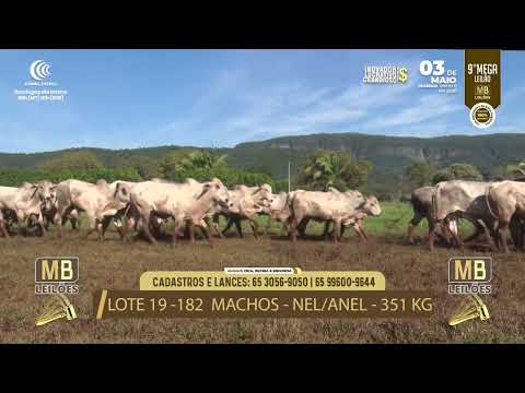 9� MEGA LEIL�O DA MB LEIL�ES