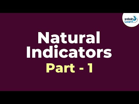 Natural Indicators - Part 1 | Acid Bases and Salts | Don't Memorise - YouTube