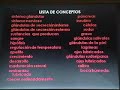 MAPA CONCEPTUAL