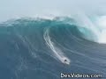 le surfeur fou