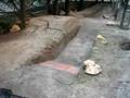 videos de Leopard 2A6 RC in my garden - 3