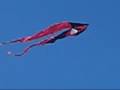 videos de F-Tail XXL, F-Tail Custom, Jumbo Power Sled 36