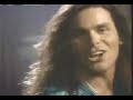 white lion   love dont come easy