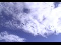 Air Force Academy Parachuters