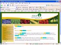 Google On Page SEO Tips & Strategies Google On Page SEO Tips & Strategies